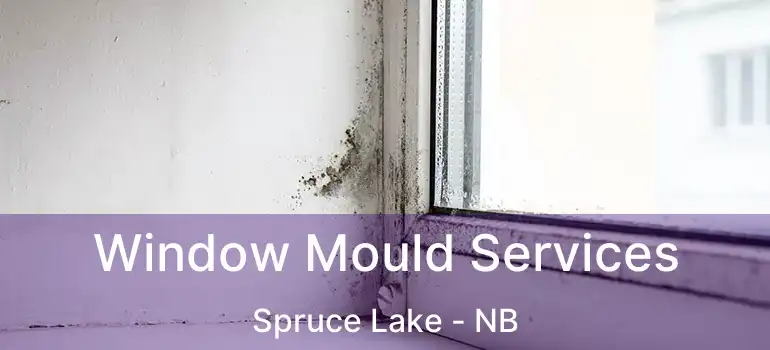  Window Mould Services Spruce Lake - NB