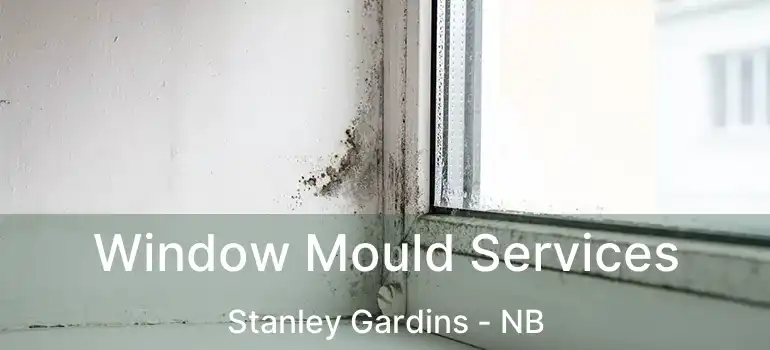  Window Mould Services Stanley Gardins - NB