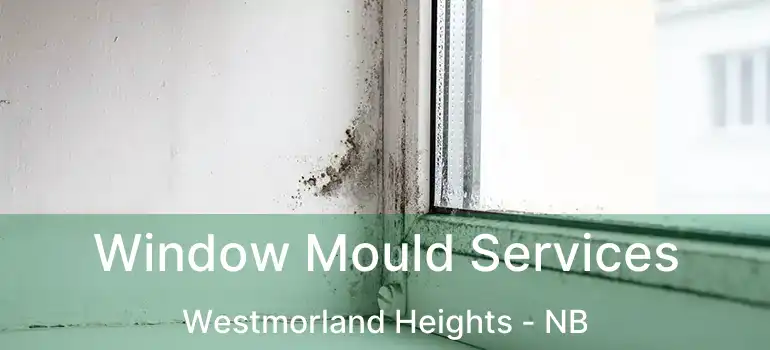  Window Mould Services Westmorland Heights - NB