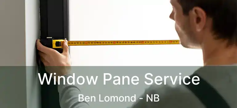  Window Pane Service Ben Lomond - NB