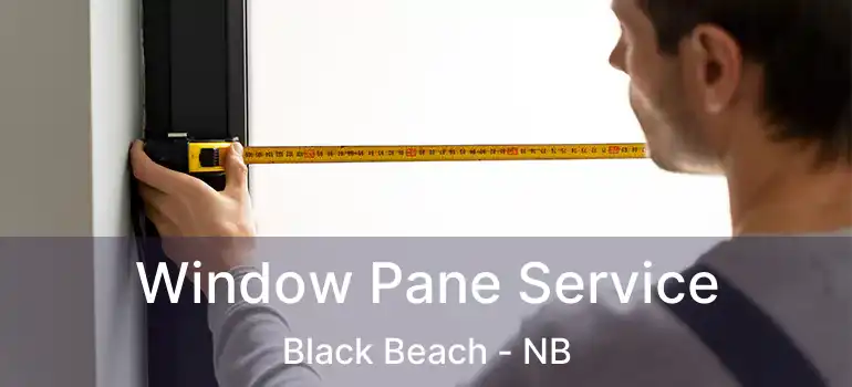  Window Pane Service Black Beach - NB