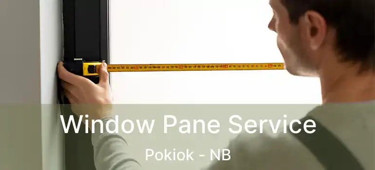  Window Pane Service Pokiok - NB