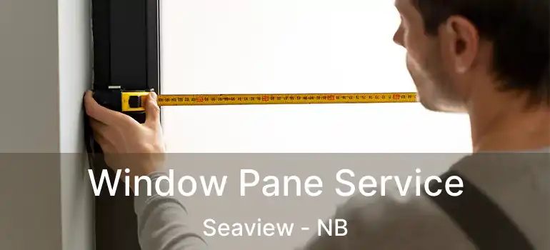  Window Pane Service Seaview - NB