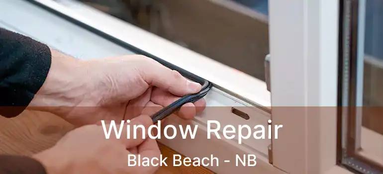  Window Repair Black Beach - NB
