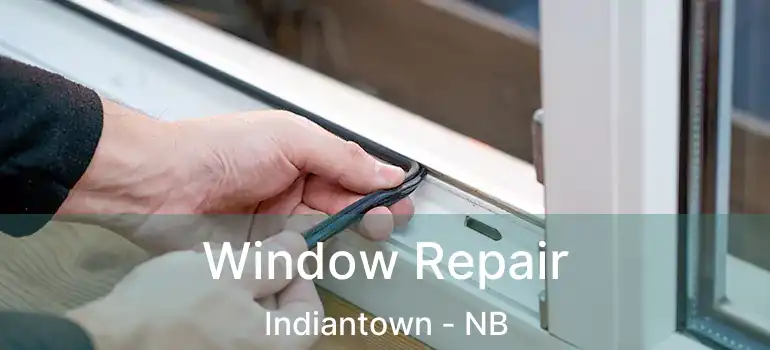  Window Repair Indiantown - NB