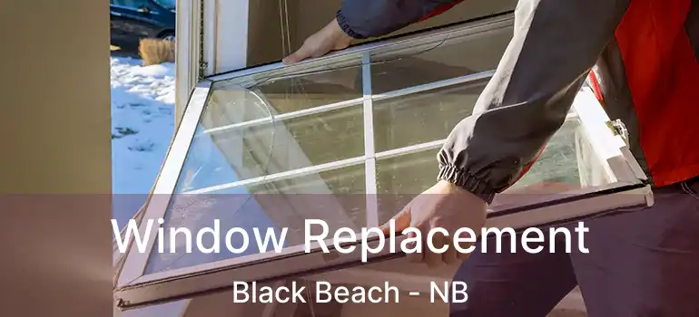  Window Replacement Black Beach - NB
