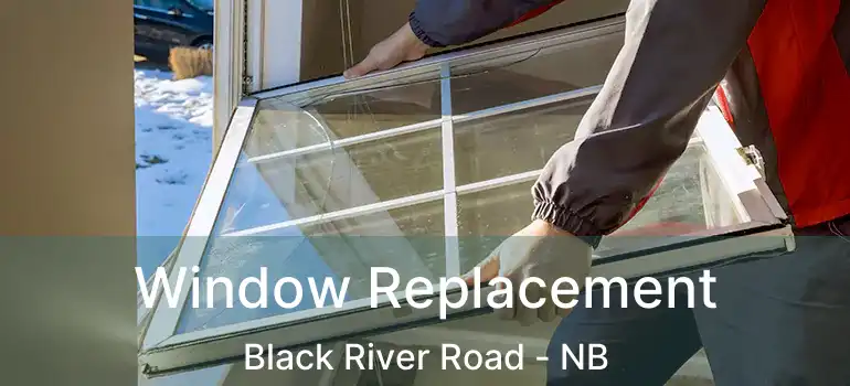  Window Replacement Black River Road - NB
