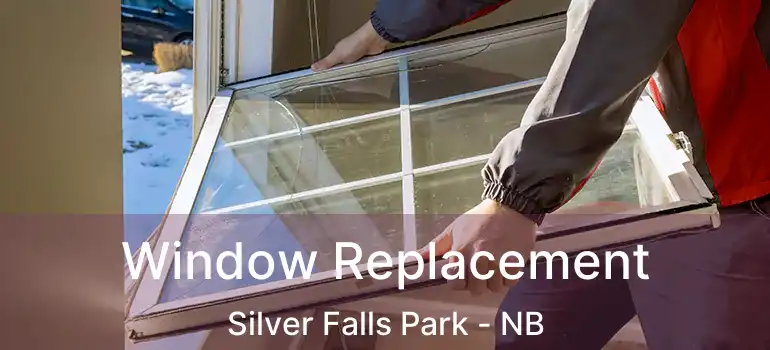  Window Replacement Silver Falls Park - NB