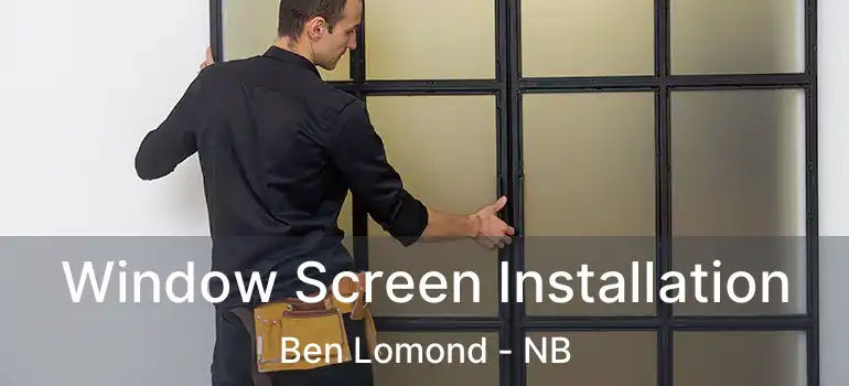  Window Screen Installation Ben Lomond - NB