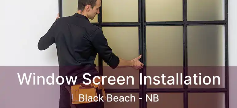  Window Screen Installation Black Beach - NB