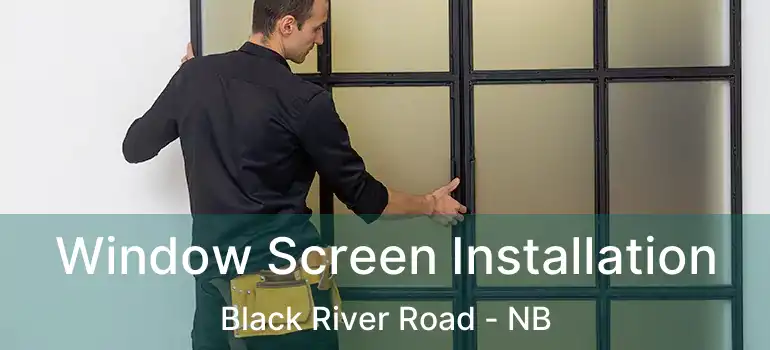  Window Screen Installation Black River Road - NB