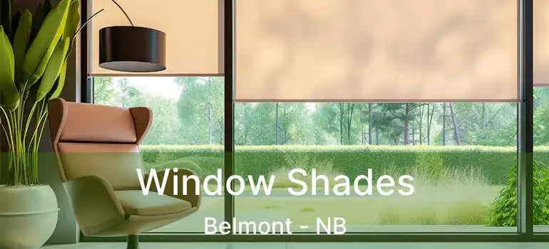  Window Shades Belmont - NB