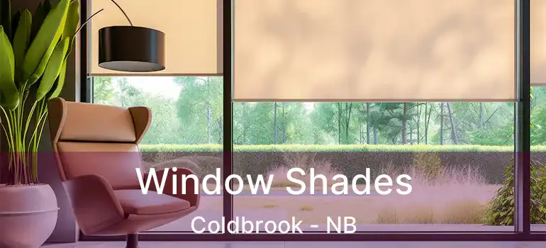  Window Shades Coldbrook - NB