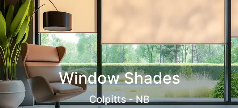  Window Shades Colpitts - NB