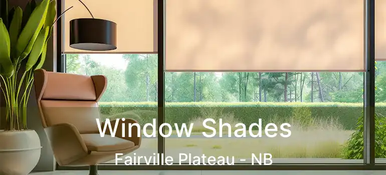  Window Shades Fairville Plateau - NB