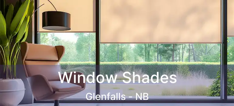  Window Shades Glenfalls - NB