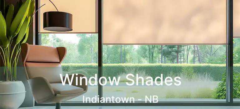  Window Shades Indiantown - NB