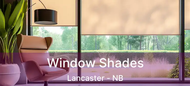  Window Shades Lancaster - NB
