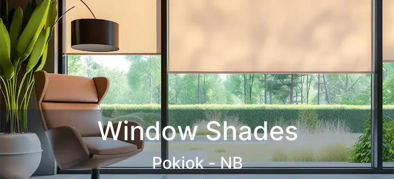  Window Shades Pokiok - NB