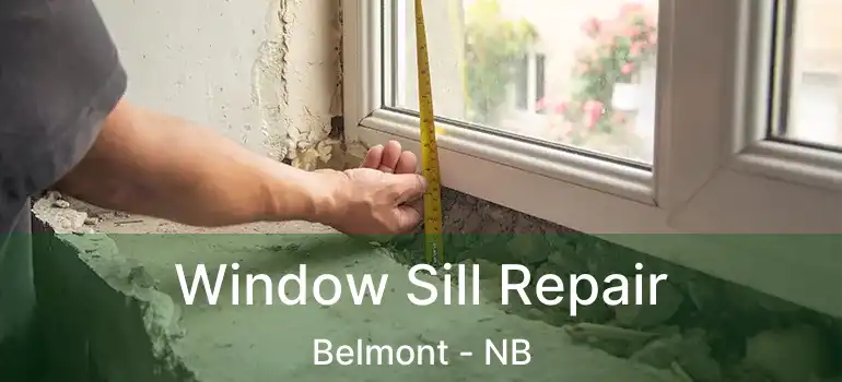  Window Sill Repair Belmont - NB