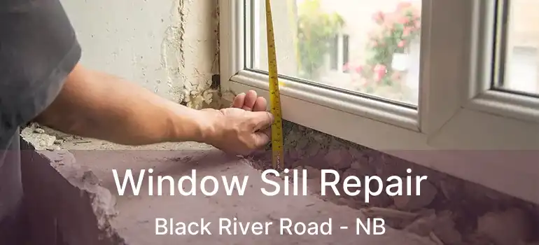  Window Sill Repair Black River Road - NB
