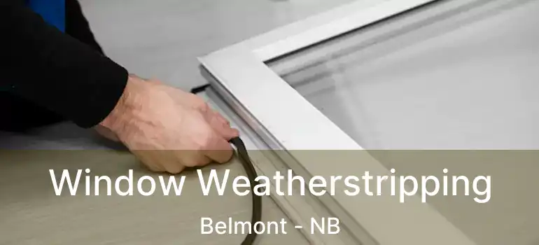  Window Weatherstripping Belmont - NB