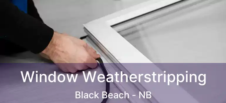  Window Weatherstripping Black Beach - NB