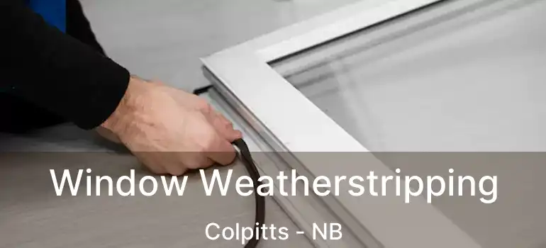  Window Weatherstripping Colpitts - NB