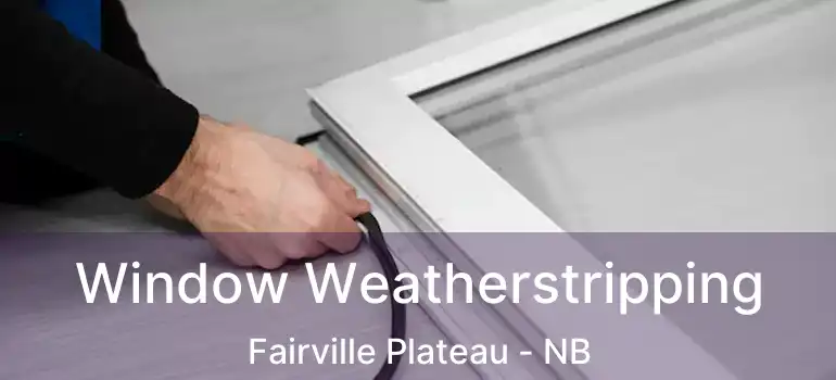  Window Weatherstripping Fairville Plateau - NB