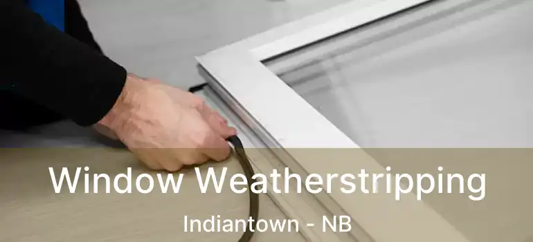  Window Weatherstripping Indiantown - NB