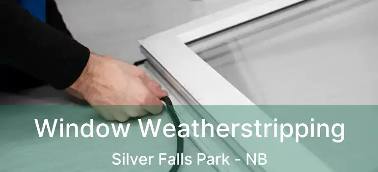  Window Weatherstripping Silver Falls Park - NB
