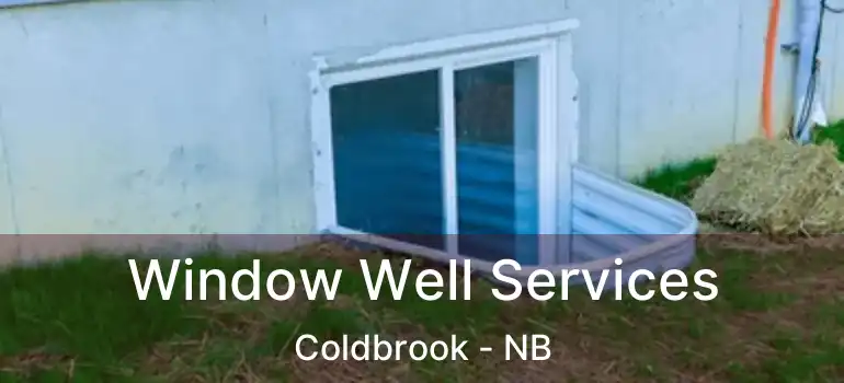  Window Well Services Coldbrook - NB