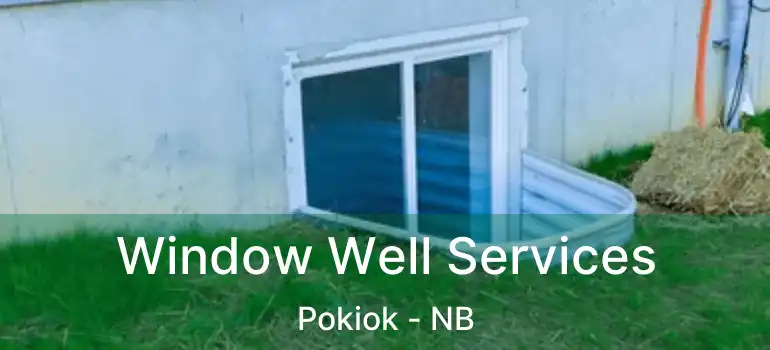  Window Well Services Pokiok - NB