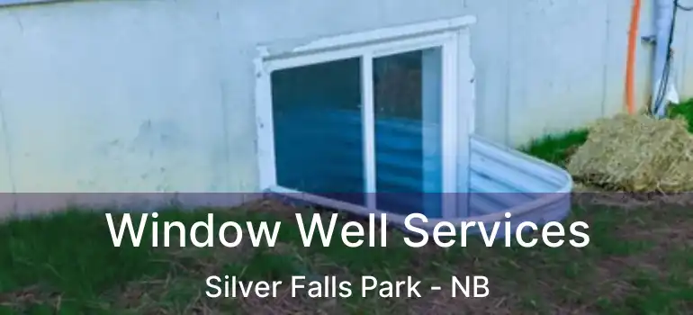  Window Well Services Silver Falls Park - NB